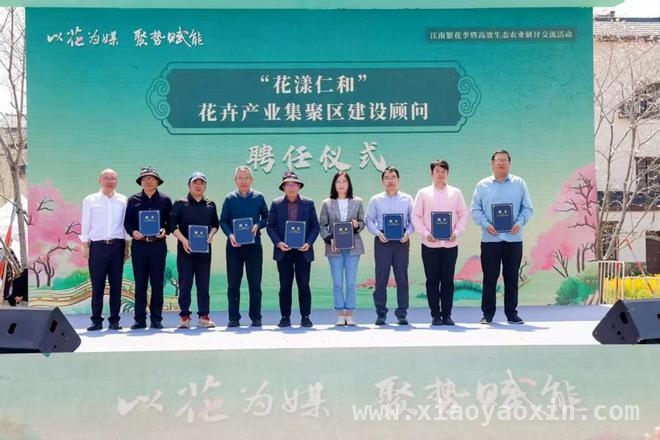 仁和街道：以花为媒，开启乡村共富新时代，杭州余杭仁和街道：繁花盛景下的乡村共富新征程