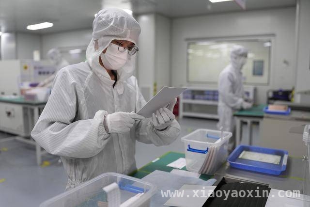 2024余姚集成电路产业链增加值大增，产业腾飞正当时，余姚发力集成电路产业，构建完整产业链显成效