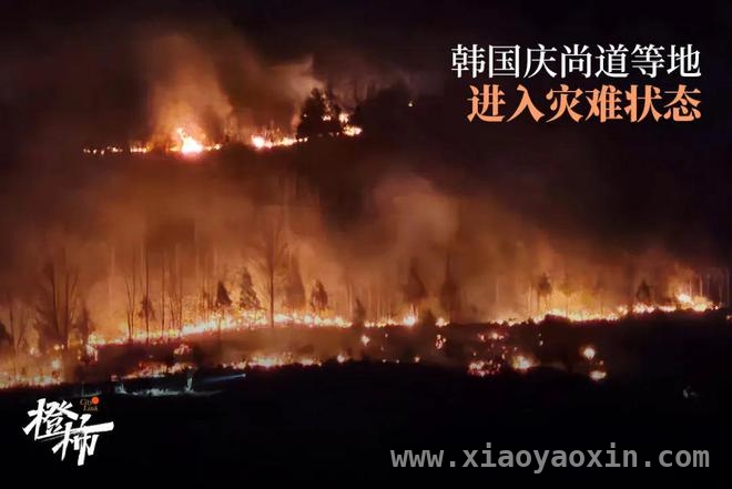 警惕！生活中的“隐藏刺客”引发过敏性结膜炎，揭秘过敏性结膜炎：症状、诱因与防治方法