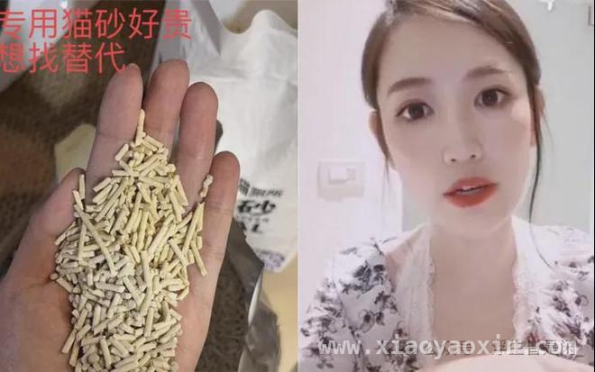 “王宝强离婚案”十年：有人逆袭，有人落魄，真相令人唏嘘