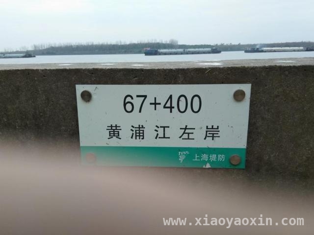 明代文人董宜阳：从紫冈草堂到曲水园的精神之旅
