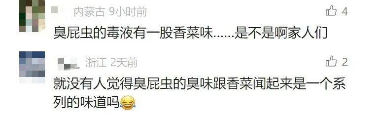 深圳升温虫子活跃，收衣小心臭虫卵！