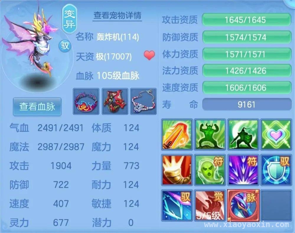 揭秘少侠投稿，游戏精彩不容错过，少侠投稿全曝光，游戏福利与奇事齐飞