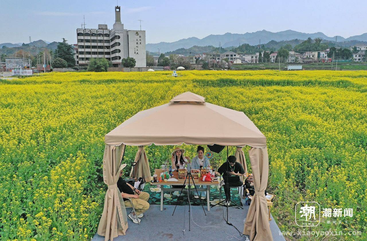 春日盛宴！建德更楼街道花田市集邀您共赴