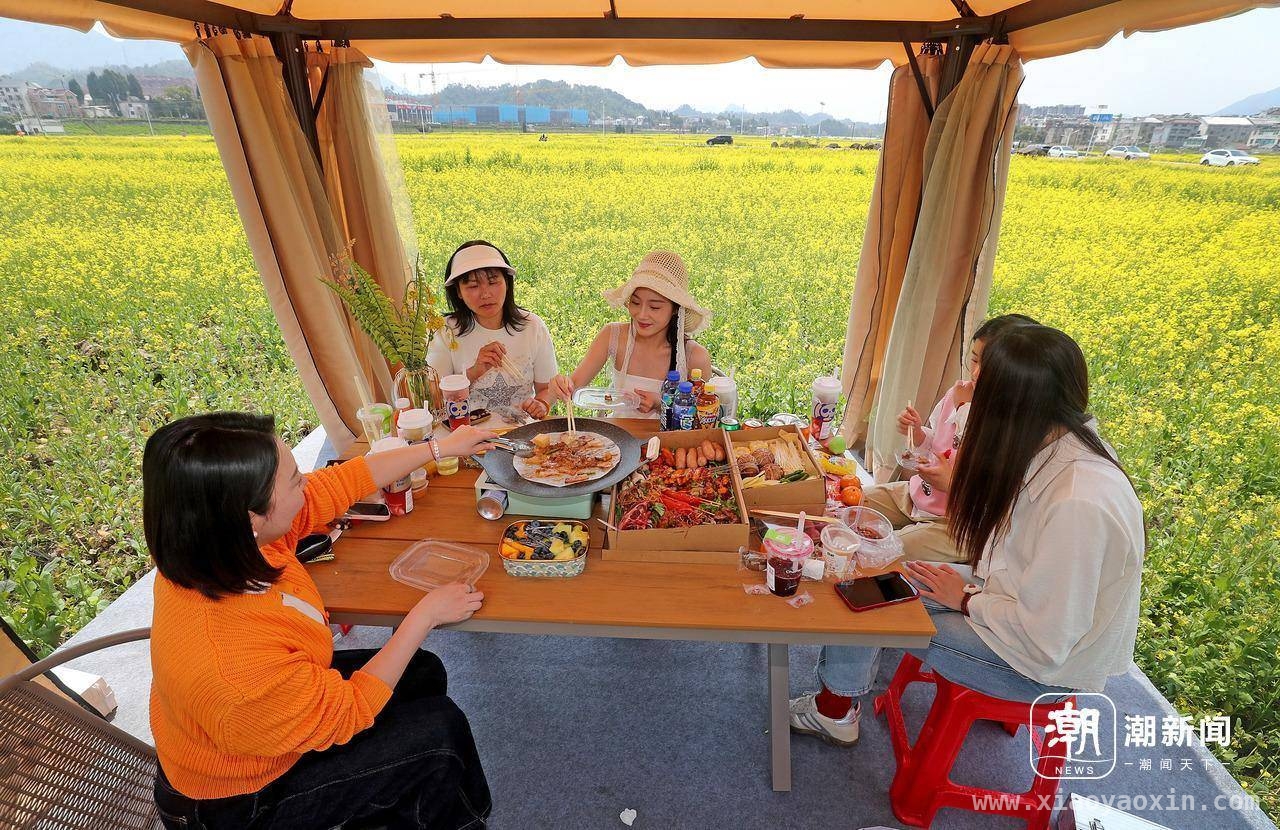 春日盛宴！建德更楼街道花田市集邀您共赴