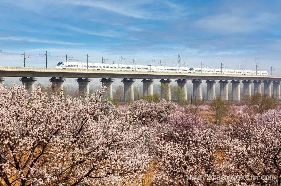 太原铁路计次票定期票登场，出行体验大升级！，太原铁路计次票和定期票：出行新选择，优惠多多！
