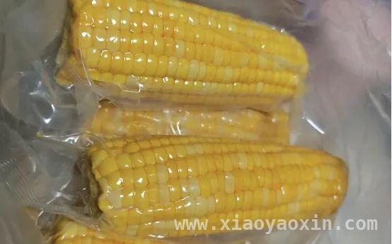 新鲜玉米难保存？加工玉米的选购秘籍来了