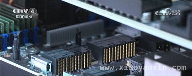 美国自称贸易吃亏？世贸总干事：它是大赢家！