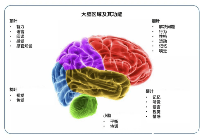 吴忠华复查报喜：脑胶质瘤未复发，耳朵小状况引关注 身残志坚吴忠华复查：脑癌稳定，耳朵小问题待解决