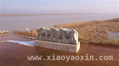 山东东营黄河入海口：自然与工业交织的梦幻之境