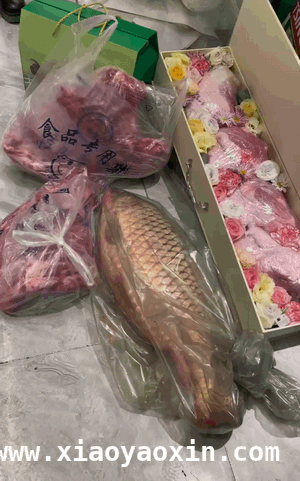 正典妹搞笑来袭，各类趣事乐翻天