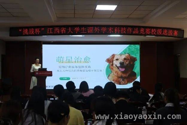 19届“挑战杯”江西大学生竞赛校级选拔赛圆满收官，创新成果闪耀！