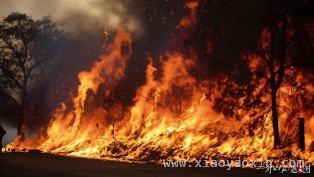 韩国东南部山火危机：4消防员遇难，多地进入“灾难状态”，韩国山火肆虐：4名消防员牺牲，多地拉响灾难警报