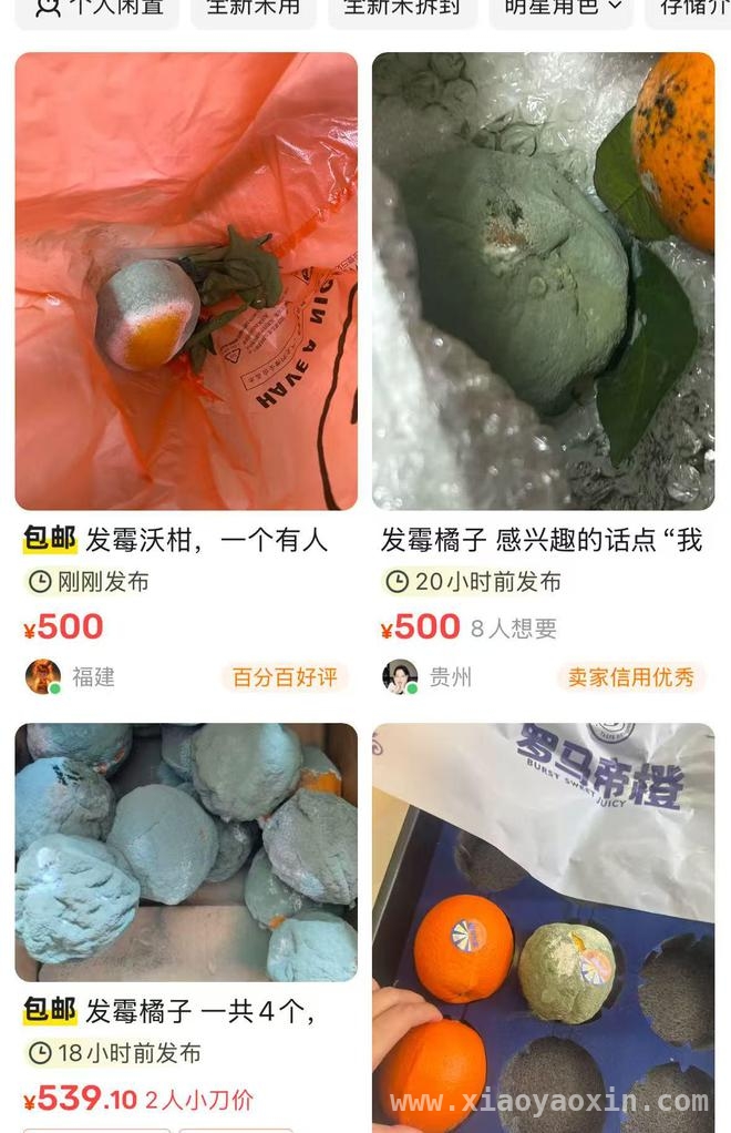 当发霉橘子走上二手交易平台，一场科研与大众文化的碰撞 500元的发霉橘子：网络交易背后的健康风险与价值考量