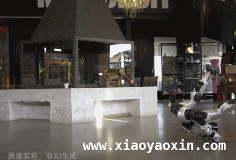 当机器人学会“十八般武艺”，我们离未来还有多远？
