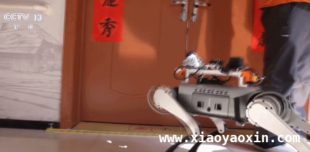 当机器人学会“十八般武艺”，我们离未来还有多远？