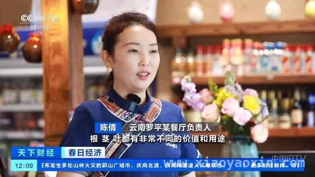 罗平百万亩油菜花盛开，“赏花经济”带动多方增收