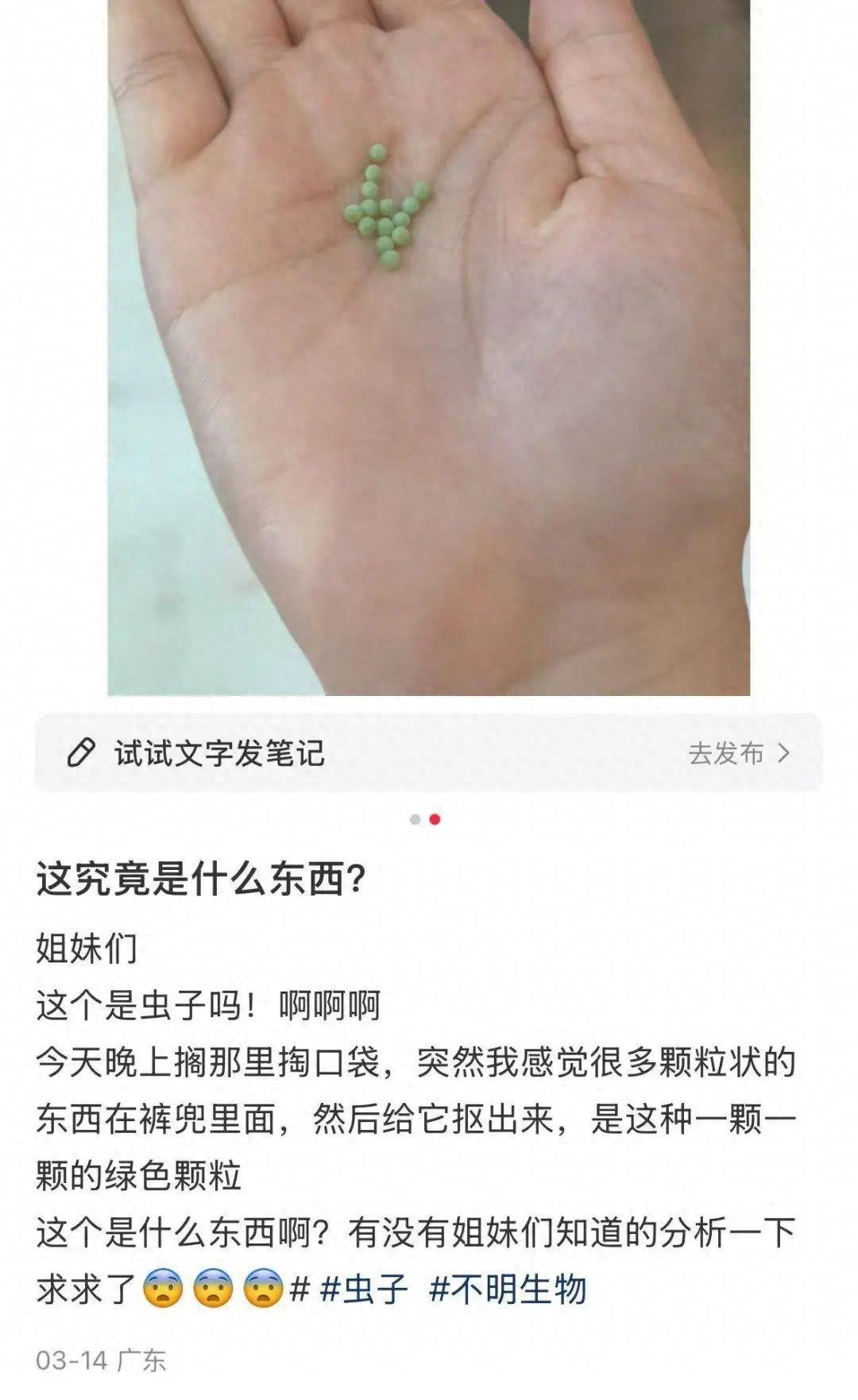 广东网友晾晒衣物遇绿色虫卵，如何应对有妙招！