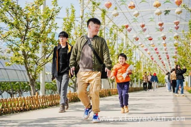 毛桥村愚农庄园梨花绽放，共赴春日狂欢之约，愚农庄园梨花会，多重活动带你嗨翻春日