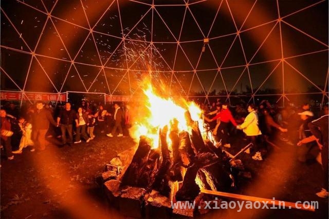 毛桥村愚农庄园梨花绽放，共赴春日狂欢之约，愚农庄园梨花会，多重活动带你嗨翻春日