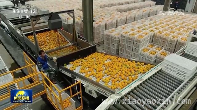 从县域出发，看消费市场的强劲活力