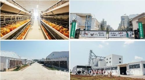 老乡鸡扩张势头猛，港股上市剑指全球快餐市场！ 老乡鸡冲击港股，能否成中式快餐新标杆？