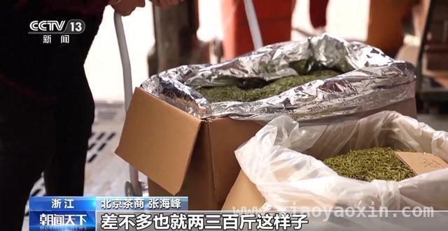春茶开采正当时，多地市场与茶园齐焕生机，全国春茶交易升温，智慧茶园亮点频现