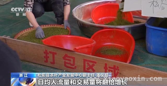 春茶开采正当时，多地市场与茶园齐焕生机，全国春茶交易升温，智慧茶园亮点频现