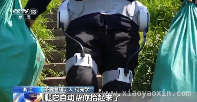 春茶开采正当时，多地市场与茶园齐焕生机，全国春茶交易升温，智慧茶园亮点频现