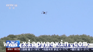 春茶开采正当时，多地市场与茶园齐焕生机，全国春茶交易升温，智慧茶园亮点频现