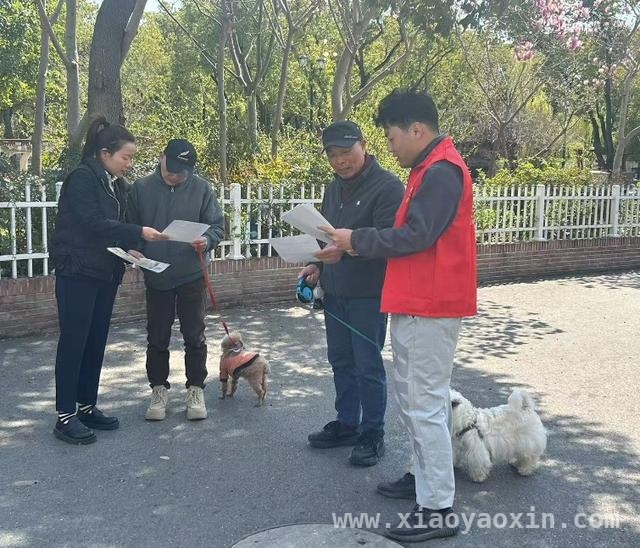 文明养犬不掉“链”，人乐小区在行动，从“放养”到文明，人乐小区养犬管理之路