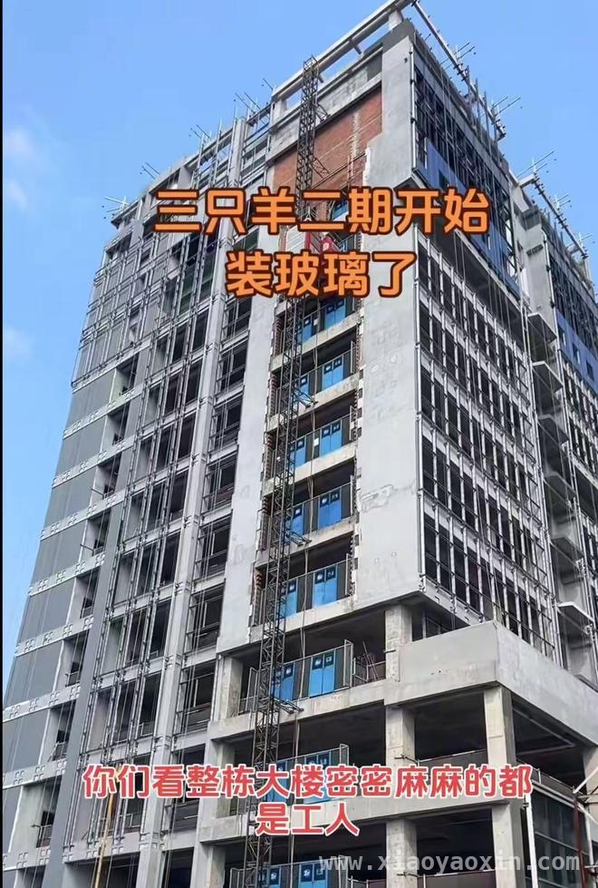 三只羊恢复营业，二期大楼加速装修，重赢消费者信任有多难？