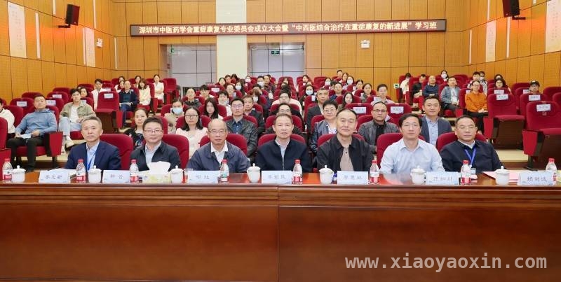 深圳成立重症康复专委会，助力重症患者康复之路，深圳重症康复专业委员会成立，开启中西医结合康复新篇章