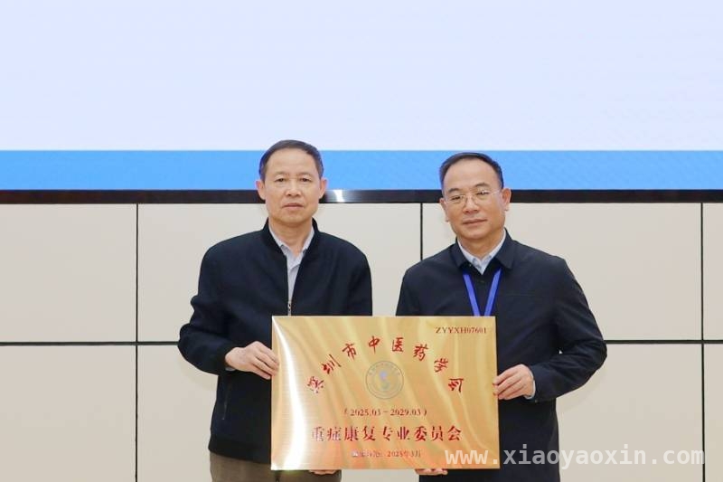 深圳成立重症康复专委会，助力重症患者康复之路，深圳重症康复专业委员会成立，开启中西医结合康复新篇章