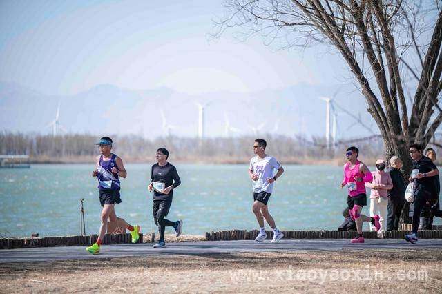 延庆野鸭湖春季半程马拉松：运动与生态的完美邂逅，野鸭湖春季半程马拉松：一场跨越山水的文体盛宴