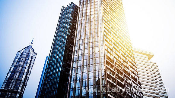 聚焦金茂服务2024年业绩：面积增长与业务收入的喜与忧 2024年金茂服务年度业绩公告：收入、利润等数据全解析