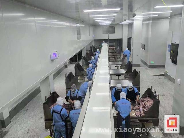 阳春三月，自贡食品产业园美味“加速度”，探秘自贡食品产业园：传统与现代美食的碰撞