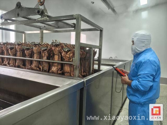 阳春三月，自贡食品产业园美味“加速度”，探秘自贡食品产业园：传统与现代美食的碰撞