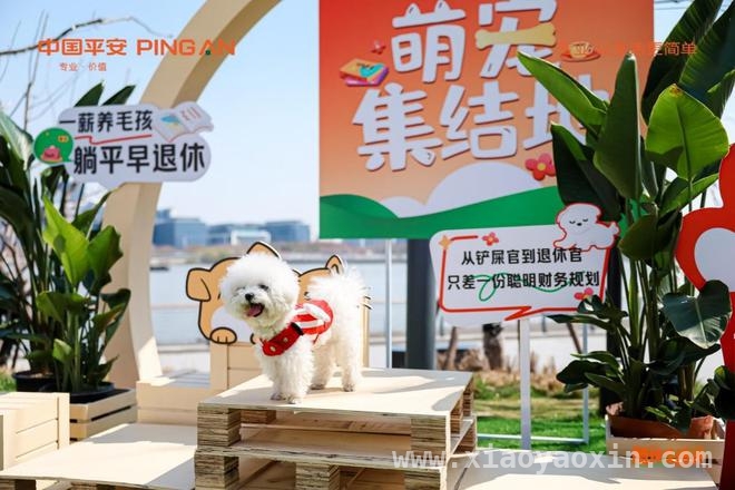 平安发力养老市场，“盛世优享”与快闪活动双剑合璧，“平安盛世优享”登场，“躺坪生活节”助力养老规划