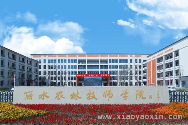 嘉善等三地技师学院设立，推动职业教育迈向新高度，浙江三所技师学院获批，为产业培养高素质技能人才