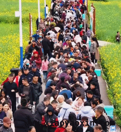 2025春日旅游热潮来袭，你准备好了吗？，春日出行指南：邂逅最美春光