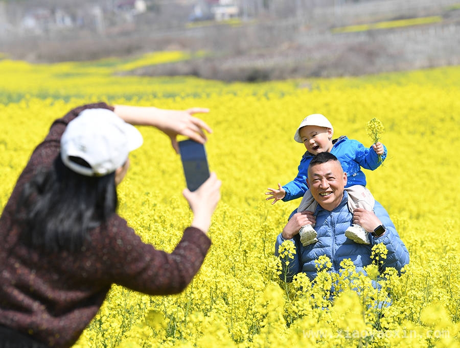 2025春日旅游热潮来袭，你准备好了吗？，春日出行指南：邂逅最美春光