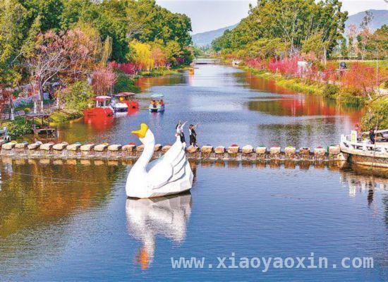 世界水日，看厦门翔安九溪的生态逆袭之路，翔安区“十里桃源”：农文旅融合绘就春日盛景