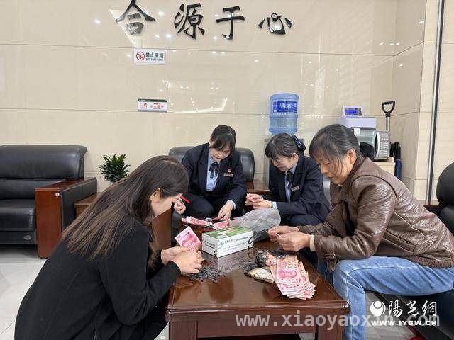 安康农商银行三月：金融服务与公益同行，安康农商银行：用行动书写三月雷锋精神