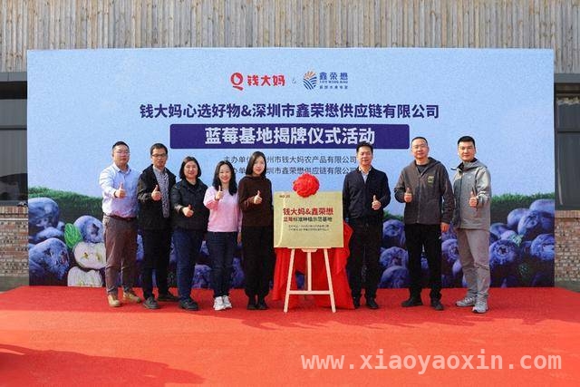政商农企共携手，钱大妈蒙自基地助力乡村“莓”好“钱”程 钱大妈蒙自布局示范基地，推动中国水果产业转型升级
