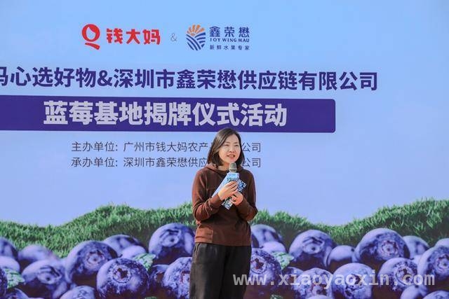 政商农企共携手，钱大妈蒙自基地助力乡村“莓”好“钱”程 钱大妈蒙自布局示范基地，推动中国水果产业转型升级