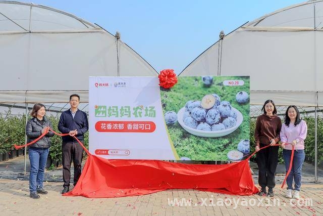 政商农企共携手，钱大妈蒙自基地助力乡村“莓”好“钱”程 钱大妈蒙自布局示范基地，推动中国水果产业转型升级