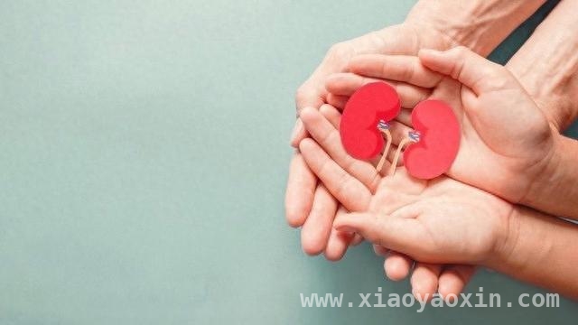 警惕IgA肾病：悄然侵袭，早筛早治是关键