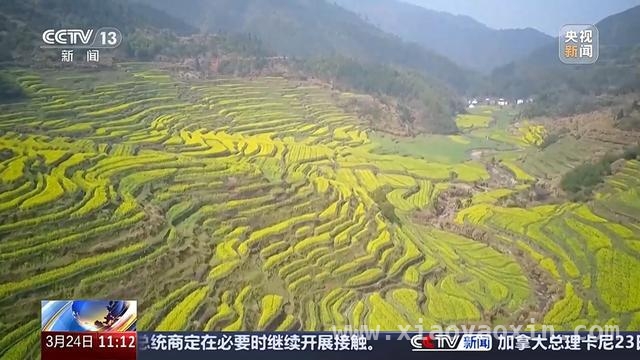 清明假期火车票开售，短途游踏青赏花正当时 清明假期旅游新图景：周边游升温，出境“快闪”成风
