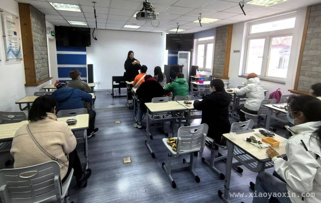 走进东方信息苑活动，解锁多肉盆栽种植新技能